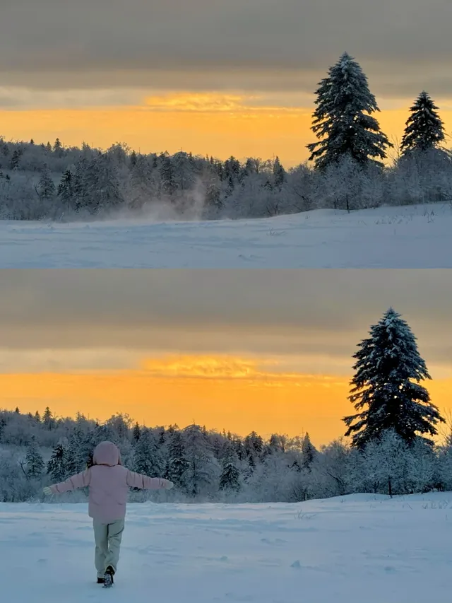 長白山雪嶺聖誕樹林裡的夢幻日落(附攻略) 長白山雪嶺聖誕樹林裡的夢幻日落(附攻略)