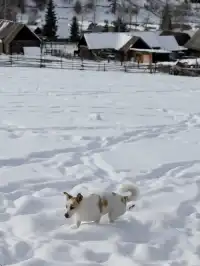 冬天的阿勒泰,真是去了還想去的地方~