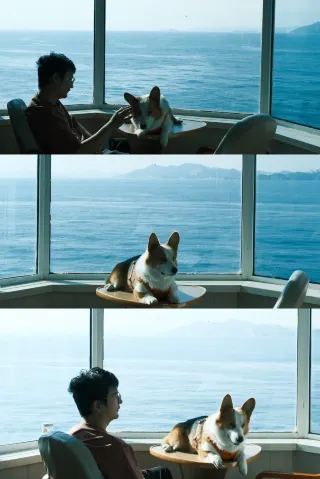 Seven Hours Disconnected from the World