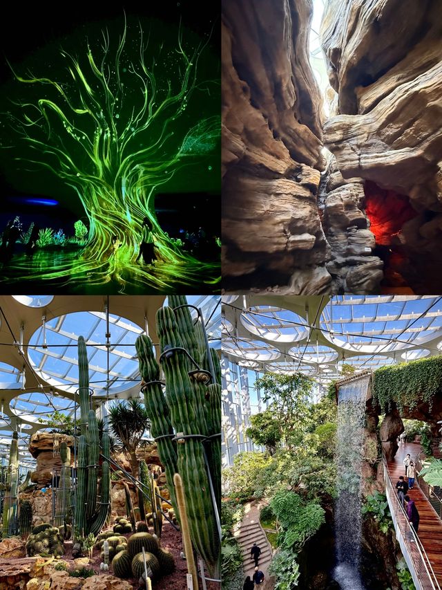 上海世博文化公園溫室花園|現實版「瘋狂動物城」~ 上海世博文化公園溫室花園|現實版「瘋狂動物城」~