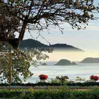 【全香港最治癒的聖誕,藏在淺水灣的樹下】