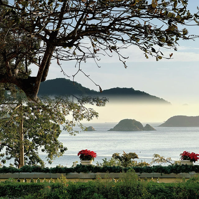 【全香港最治癒的聖誕,藏在淺水灣的樹下】 【全香港最治癒的聖誕,藏在淺水灣的樹下】