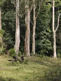 新手徒步路線|城門水塘(附攻略)