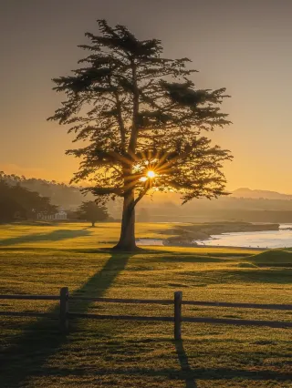 นี่คือผู้ท้าชิงตำแหน่ง 1 ใน 100 ผู้เล่นอันดับต้น ๆ ของโลก คุณน่าจะจำเขาได้ในทันที