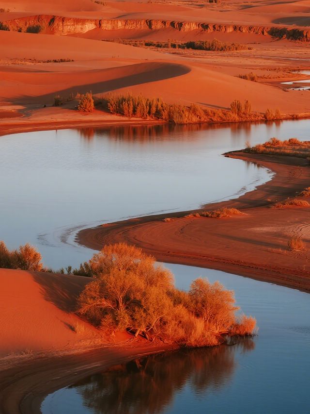 誰說雲南只有夏天?這座溫暖神山的冬天美到詞窮! 誰說雲南只有夏天?這座溫暖神山的冬天美到詞窮!