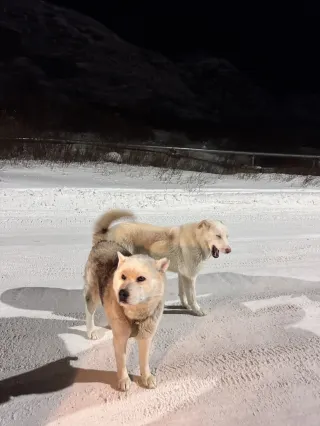 ロシア旅行記｜テリベルカ旅行記（パート1）
