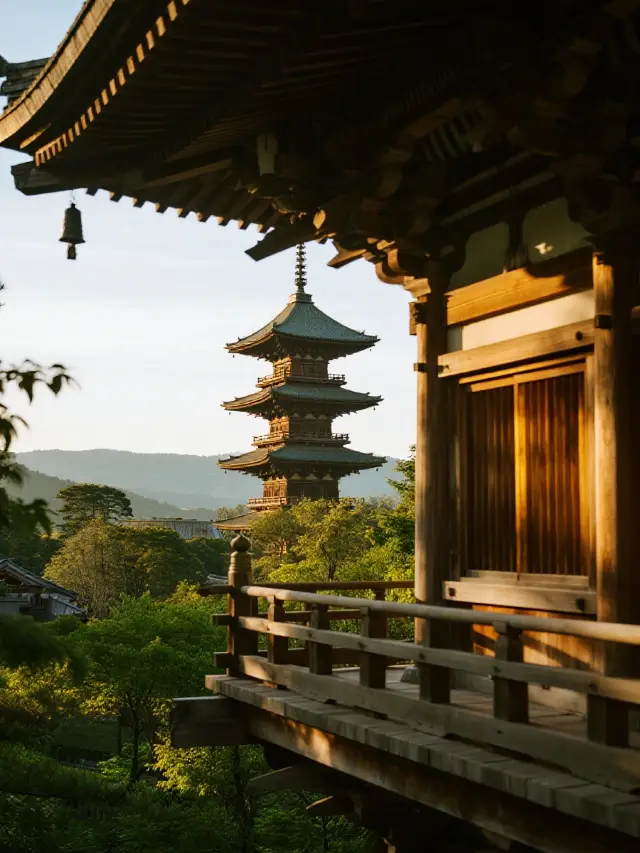 Kansai Night Never Ends! The Ultimate Winter Family Travel Guide