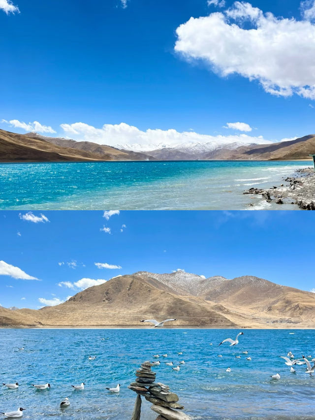 西藏的美,讓人流連忘返