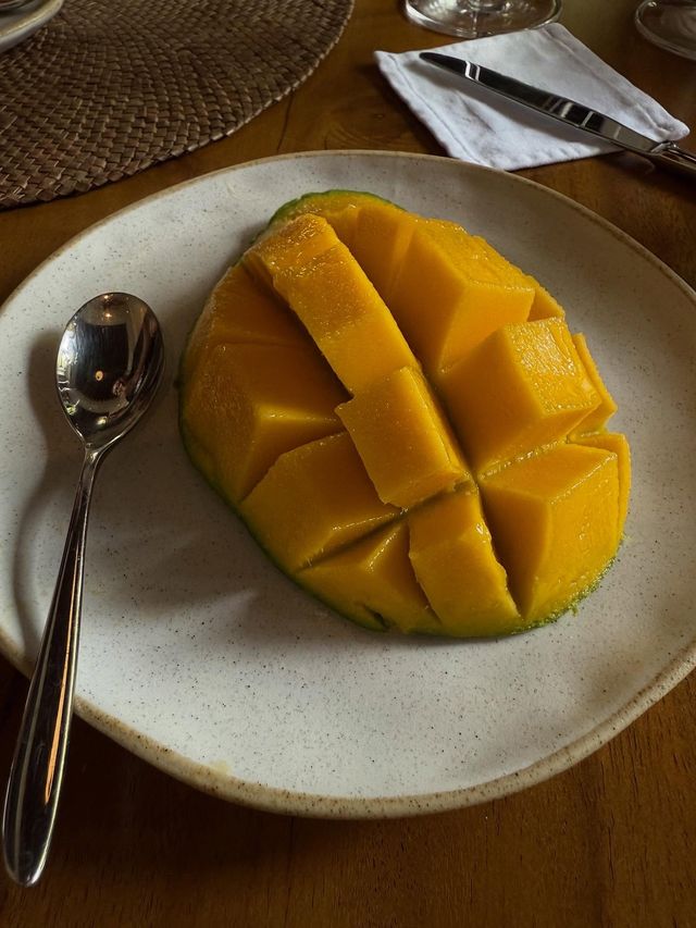 旅行日記|UMANA BALI讓我真連住不想走