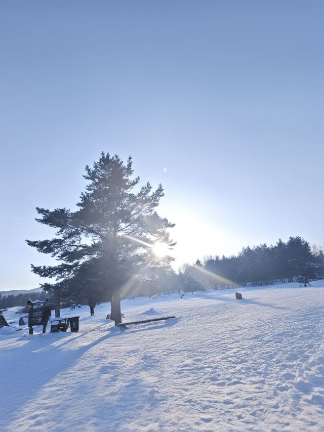 瀋陽等地10日遊攻略熬夜整理超詳細行程