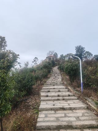 Sea of Clouds Secret Spot | Lianjiang Toubu Lufeng Mountain Daydreaming Guide