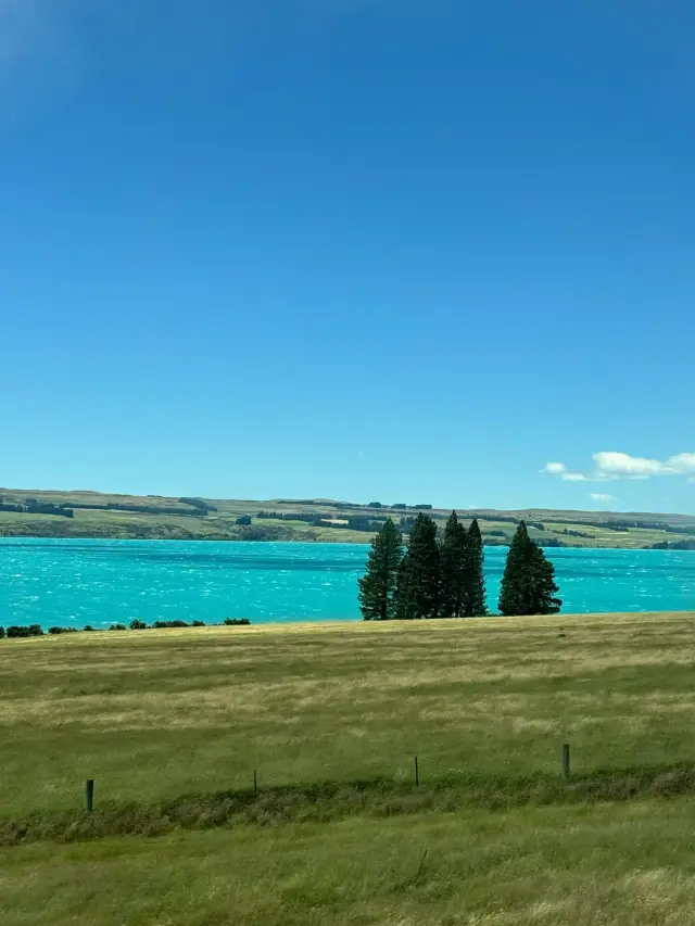 Auckland's super chill daily walks amidst stunning lakes and mountains.