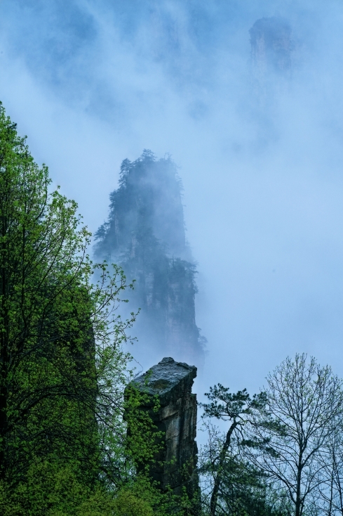 雨季探秘張家界天子山雲霧繚繞的仙境太美了｜Trip.com 張家界
