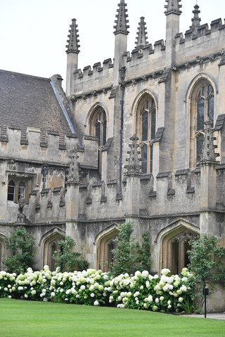 Funny Real Visiting Traps & Practical Tips for Exploring University of Oxford 🚨