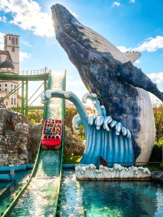 Expert guide | First time at Ocean Kingdom? Avoid 80% of the pitfalls after reading this!