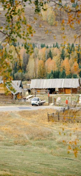 Autumn in Altay is stunning! Save this guide now