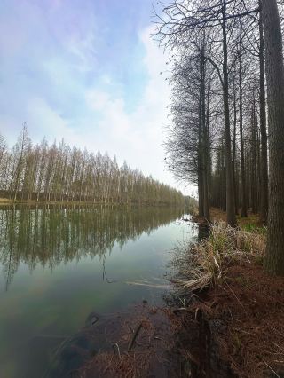 Great camping spots in Chongming