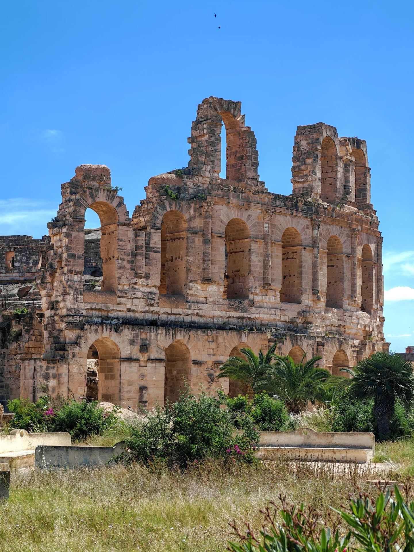 8-day Tunisia multi-country travel guide | Must-save for a hassle-free trip