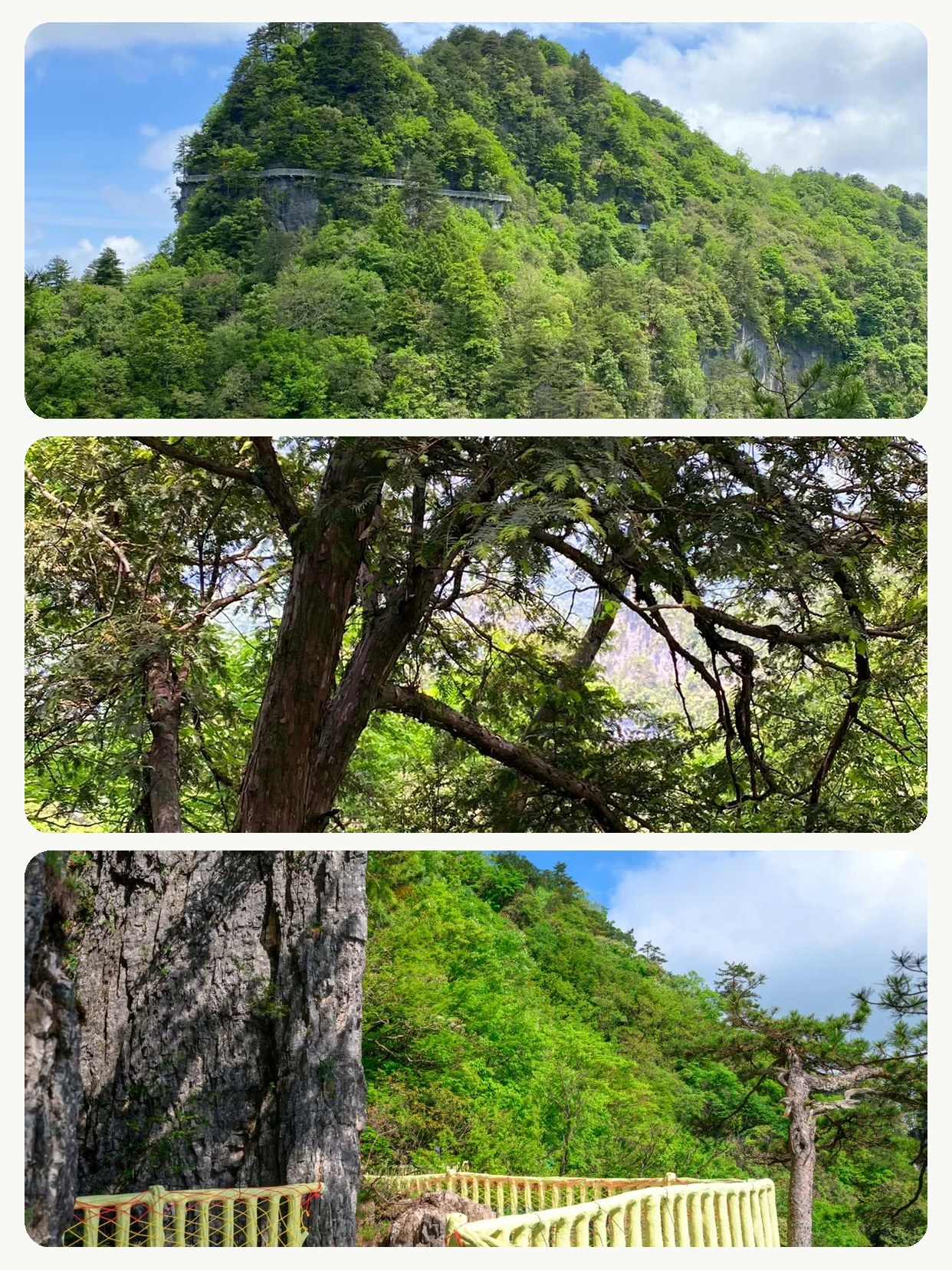 誰懂啊！國慶帶老婆這處她全程沒喊累