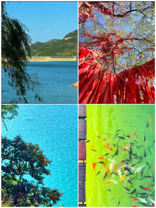 Shandong's "Little Jiuzhaigou" is just a 2-hour high-speed train ride away