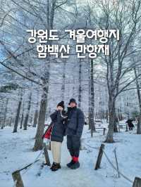 강원도 겨울여행은 여기! 정선 만항재❄️