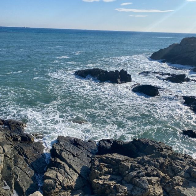 釜山-海東龍宮寺🌊 해동 용궁