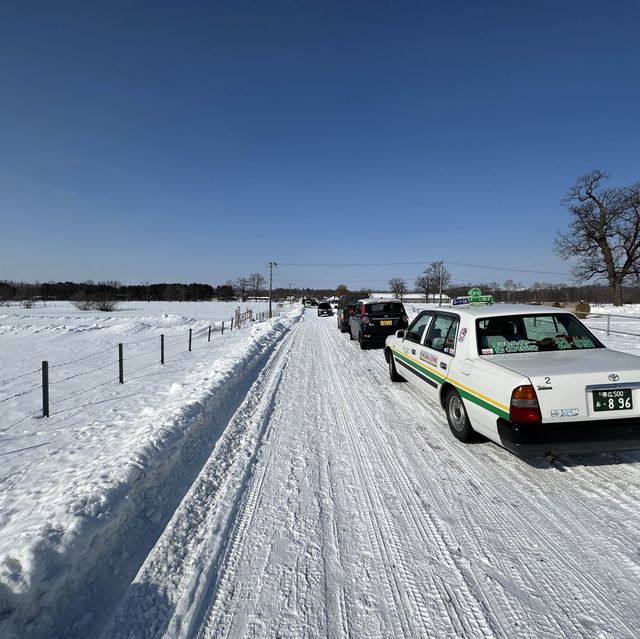 【北海道】冬季限定！十勝牧場の馬追