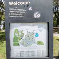悉尼市區最大既公園～Centennial Park