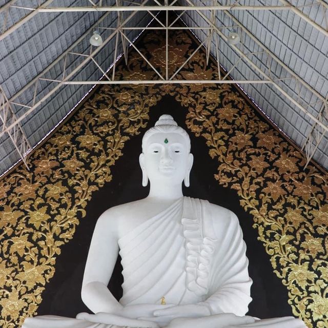 วัดป่าห้วยลาด ภูเรือ 
