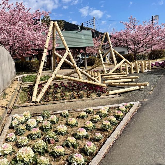 【伊豆】みなみの桜と菜の花まつり
