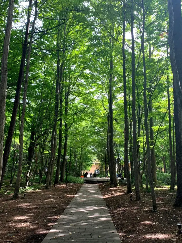 軽井沢の涼しい自然の中に佇む温かい教会🌲