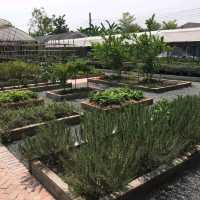 Organ by SmartNineFarm ร้านอาหารเพื่อคนรักสุขภาพ​
