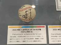 東京・水道橋(後楽園)。東京ドームに併設。野球の歴史が詰まっています『野球殿堂博物館』