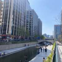 Cheonggyecheon: Urban Oasis in Seoul's Heart