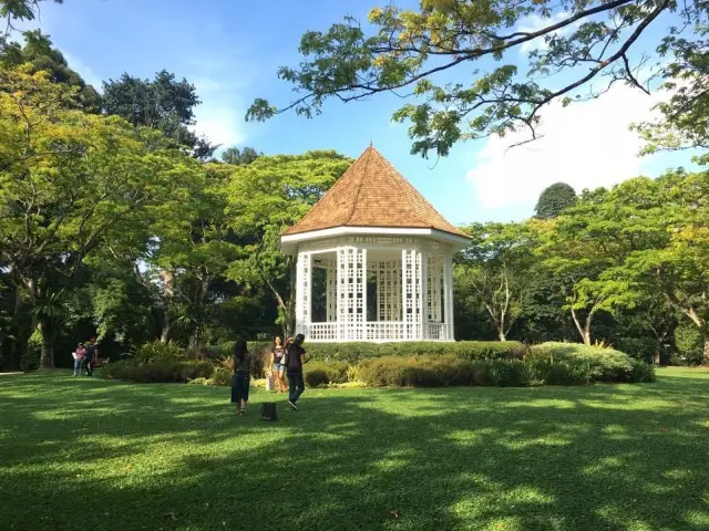 Walk and chill at Botanic Garden, Singapore 🇸🇬