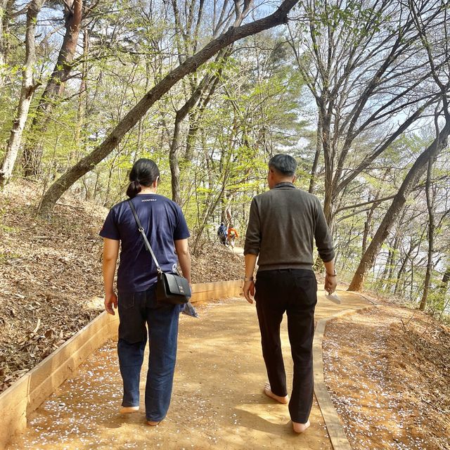 부산의 숨은 힐링장소 회동수원지 둘레길 황토숲길🌱🌸