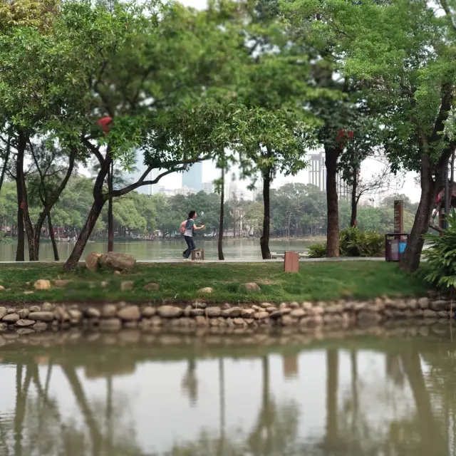 日夜都值一遊的惠州西湖🌳