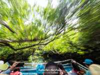 นั่งเรือชมป่าโกงกาง ไถหนาน