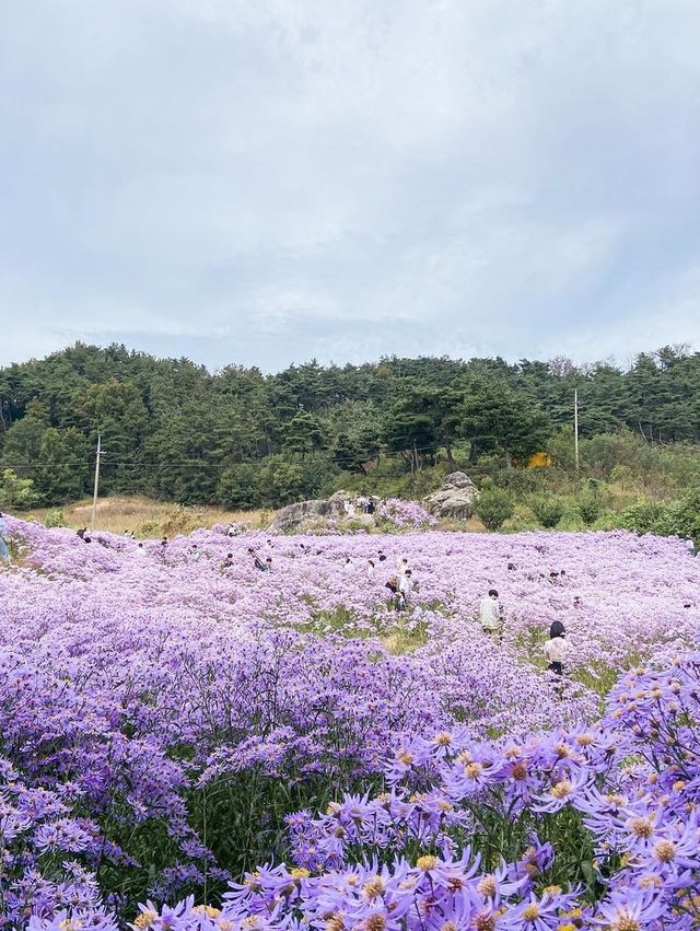 한국의 10월 여기는 꼭 가보세요!