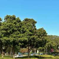 香港最舒服的公園 - 迪欣湖