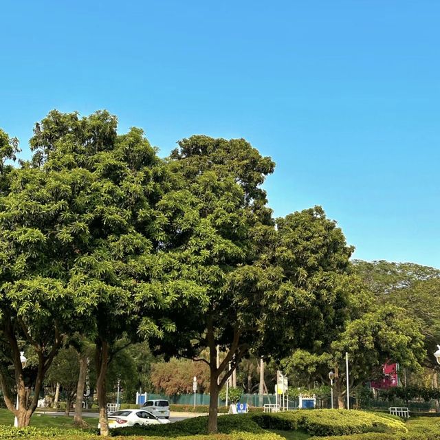 香港最舒服的公園 - 迪欣湖