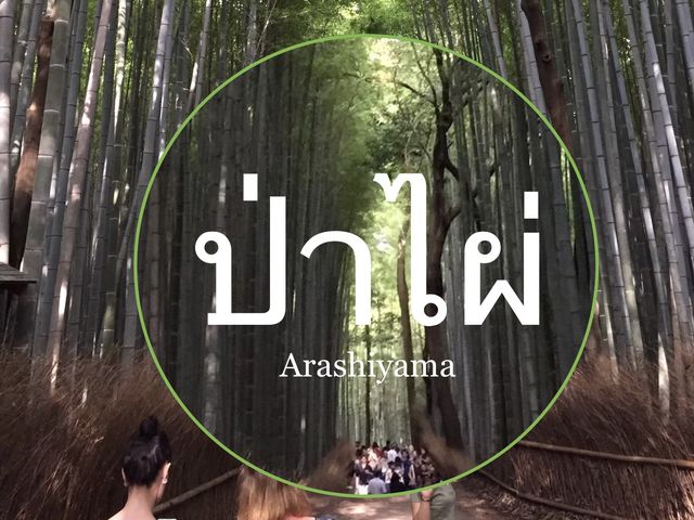 สวนป่าไผ่ &สะพานแม่น้ำสุขใจ @ARASHIYAMA