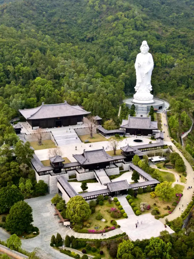 Tsz Shan Monastery Tips