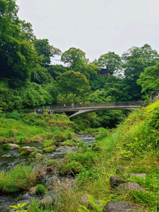 【静岡】白糸ノ滝