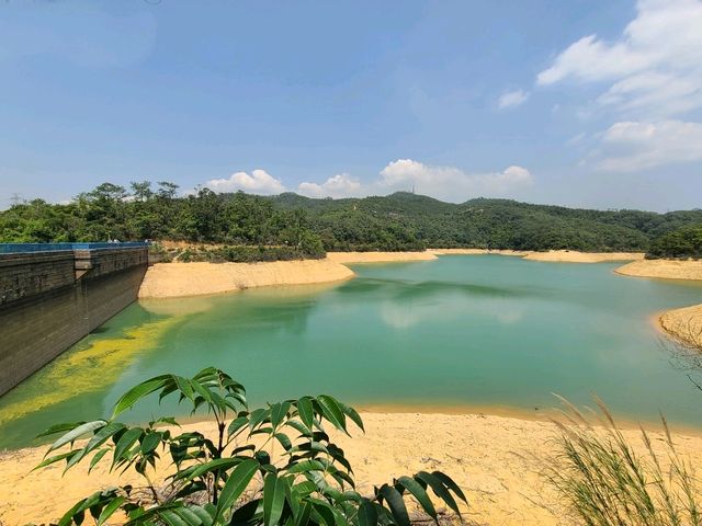 【水塘界四小龍~金山郊野公園🐒】