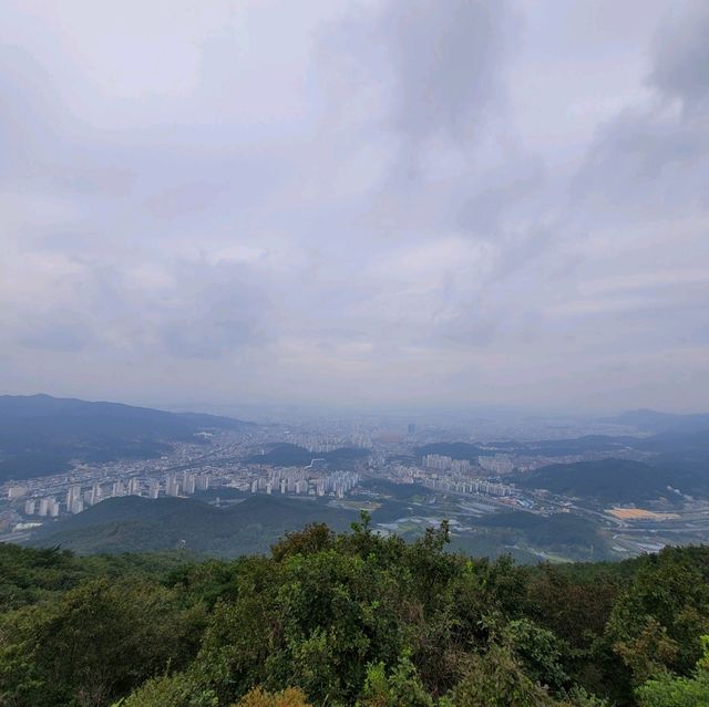 두근두근여름휴가 대전 식장산 해돋이전망대