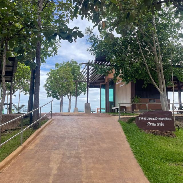 🌿⛰️สูดโอโซนแลความงามของผืนป่า ณ จุดชมวิวผาช่อ🌸