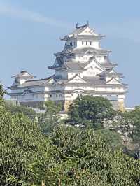 【兵庫観光】世界遺産・姫路城周辺をぶらり🏯