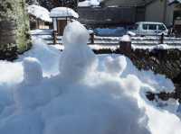 【城崎温泉】冬の城崎温泉で疲れを取ろう♨️