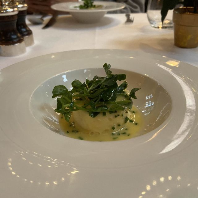 Magnificent Lunch 